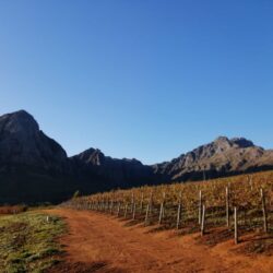 WhatsApp Image 2020-06-01 at 5.16.21 PM (1)