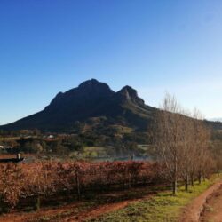 WhatsApp Image 2020-06-01 at 5.16.21 PM